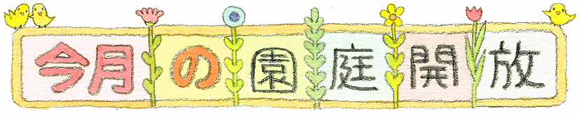 今月の園庭開放イベント
